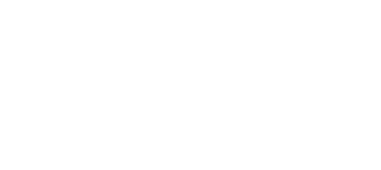 Aquile In Costruzione